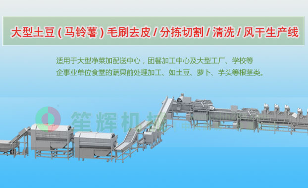 桃山连续式土豆去皮清洗切割风干生产线